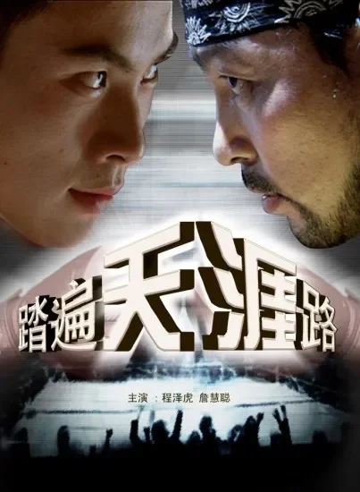踏遍天涯路电影海报