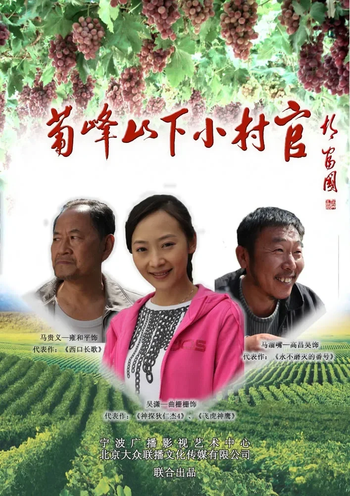 葡峰山下小村官电影海报