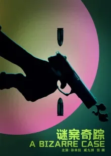 谜案奇踪电影海报