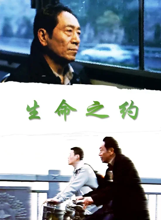 生命之约电影海报