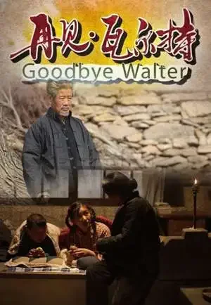 再见瓦尔特电影海报