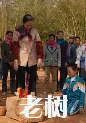 老树电影海报