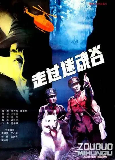 走过迷魂谷电影海报