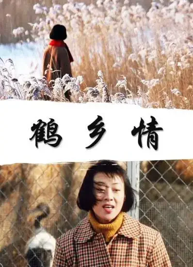 鹤乡情电影海报