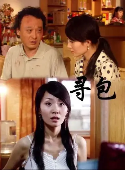 寻包电影海报