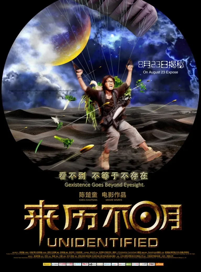 来历不明电影海报