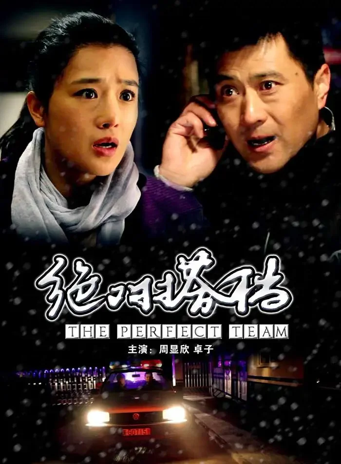 绝对搭档电影海报