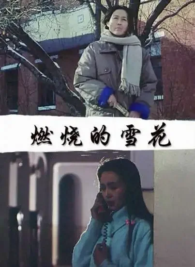 燃烧的雪花电影海报