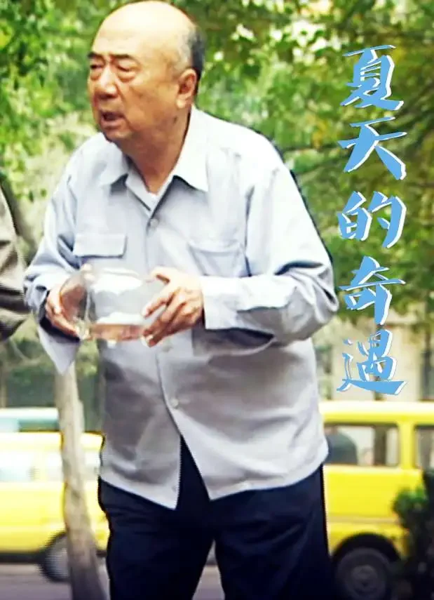 夏天的奇遇电影海报