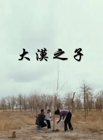 大漠之子电影海报