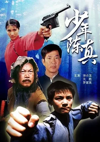 少年陈真电影海报