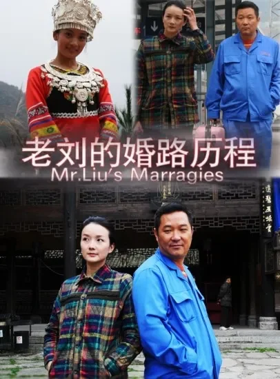 老刘的婚路历程电影海报