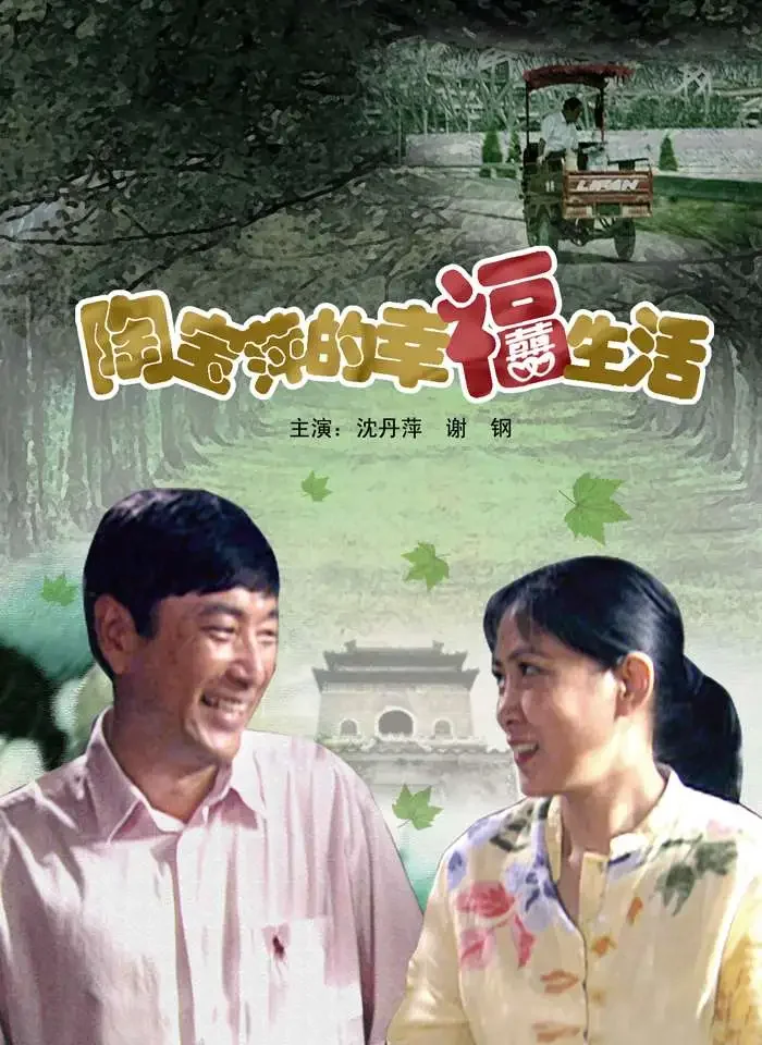 陶宝萍的幸福生活电影海报
