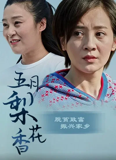 五月梨花香电影海报
