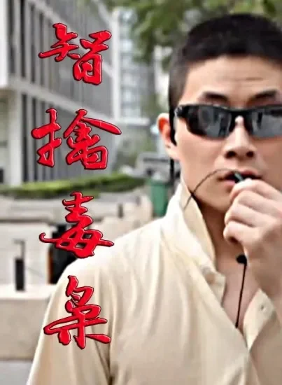 智擒毒枭电影海报