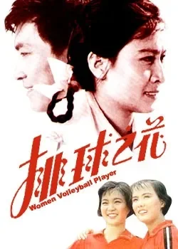 排球之花电影海报