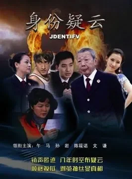 身份疑云电影海报