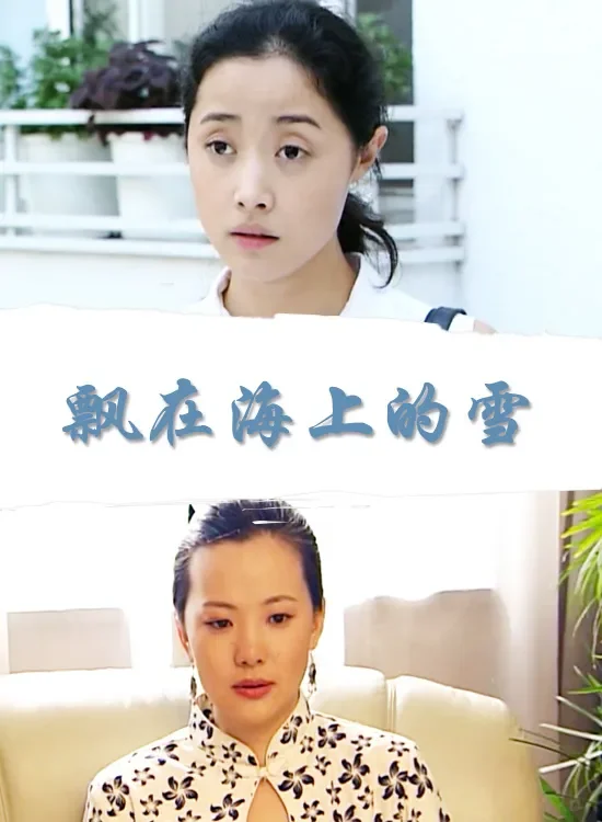 飘在海上的雪电影海报