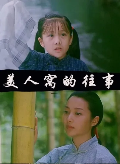 美人窝的往事电影海报