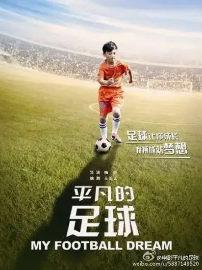 平凡的足球电影海报