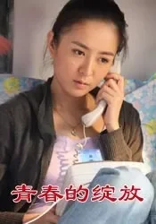青春的绽放电影海报