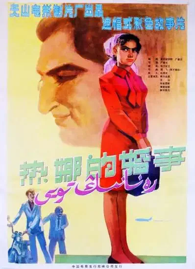 热娜的婚事电影海报