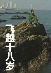 飞越十八岁电影海报