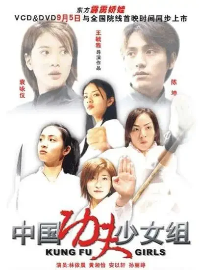 中国功夫少女组电影海报