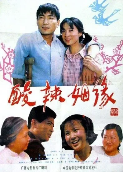 酸辣姻缘电影海报
