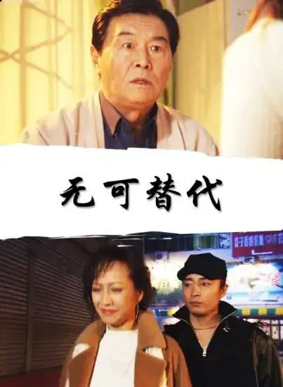 无可替代电影海报
