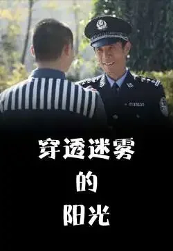 穿透迷雾的阳光电影海报