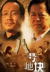 八号地块电影海报