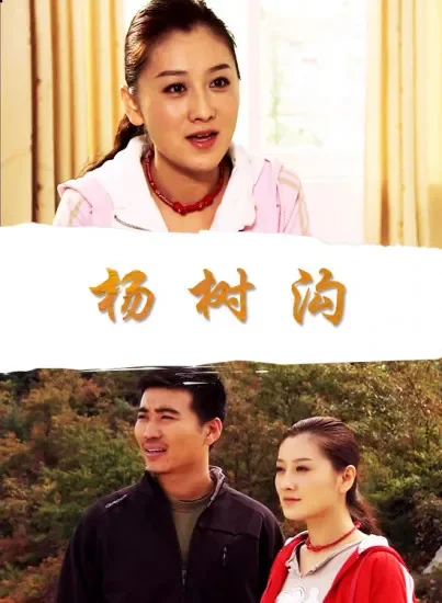 杨树沟电影海报