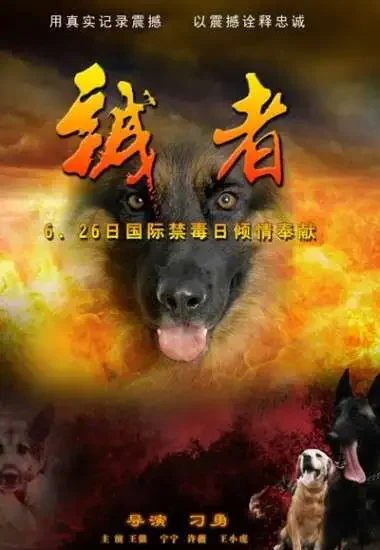 诚者电影海报