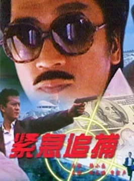 紧急追捕电影海报