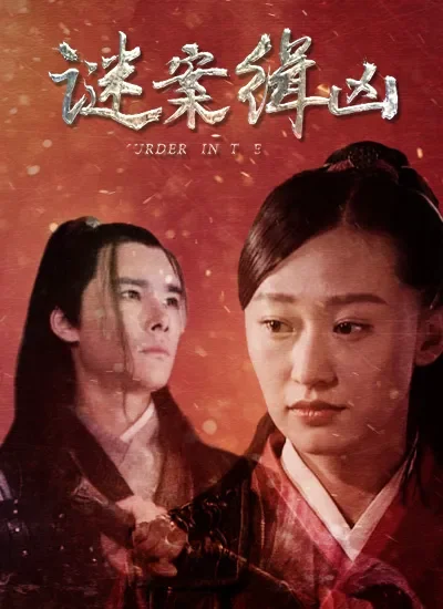 谜案缉凶电影海报