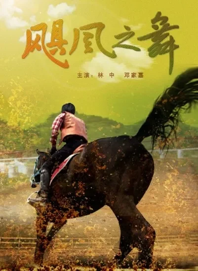 飓风之舞电影海报