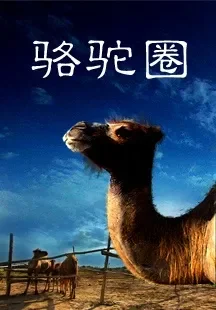 骆驼圈电影海报