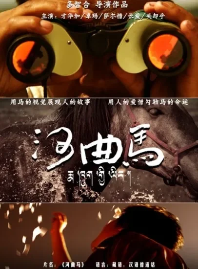 河曲马电影海报