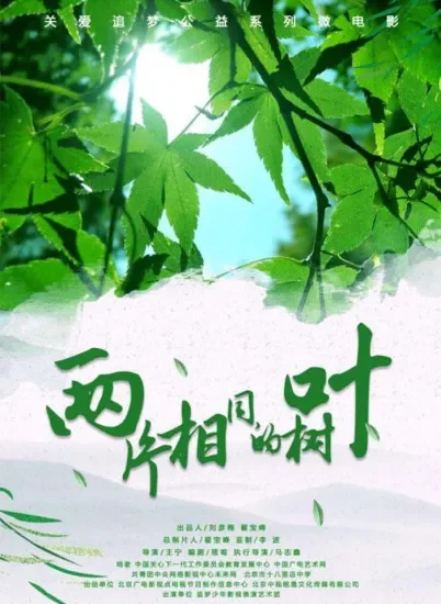 两片相同的树叶电影海报