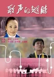 歌声的翅膀电影海报