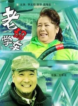 老妈学车电影海报