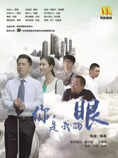 你，是我的眼电影海报