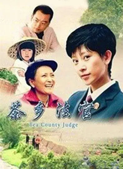 茶乡法官电影海报