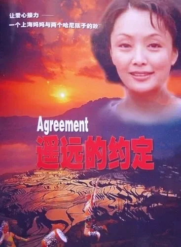 遥远的约定电影海报