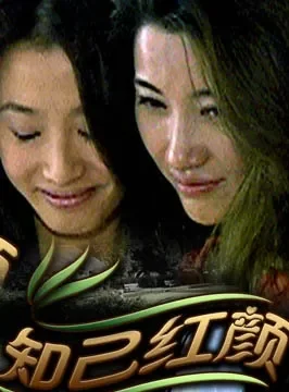 知己红颜电影海报