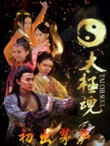 太极魂之初出茅庐电影海报