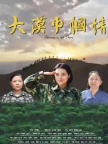 大漠巾帼情电影海报