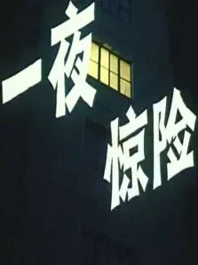一夜惊险电影海报