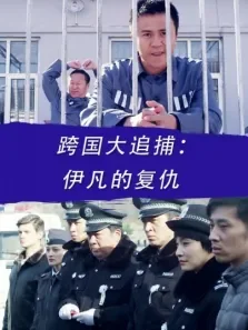 跨国大追捕:伊凡的复仇电影海报